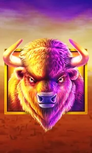 Buffalo King